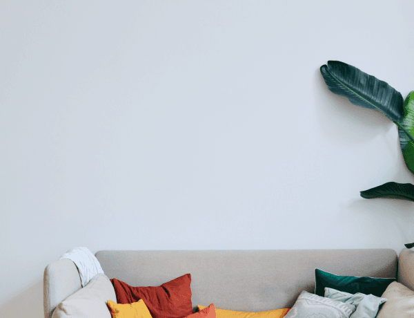 Furniture Designs & Upholstery (History, Present & Furniture Trends) I & II